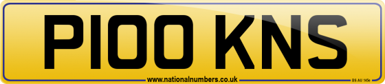 P100 KNS