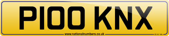 P100 KNX