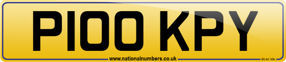 P100 KPY