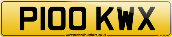 P100 KWX