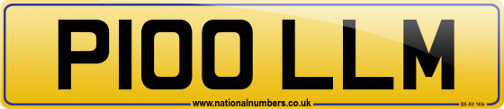 P100 LLM