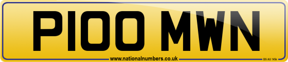 P100 MWN