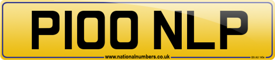 P100 NLP