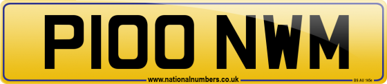 P100 NWM