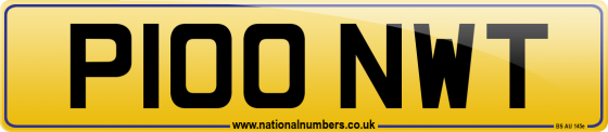 P100 NWT
