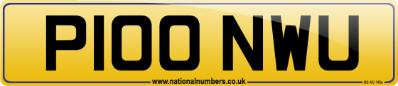 P100 NWU