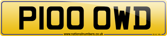 P100 OWD