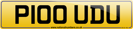 P100 UDU