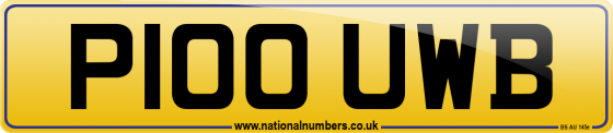 P100 UWB