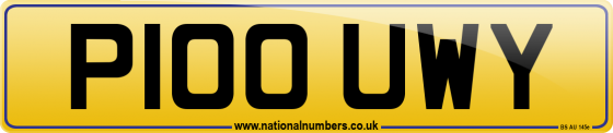 P100 UWY