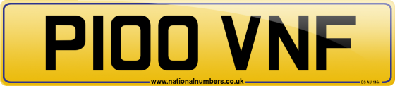 P100 VNF