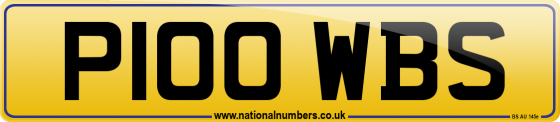 P100 WBS