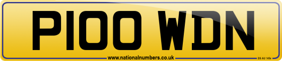 P100 WDN
