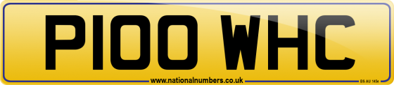 P100 WHC
