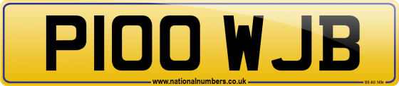 P100 WJB