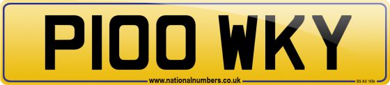 P100 WKY