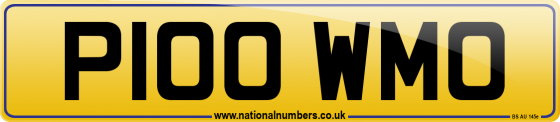 P100 WMO