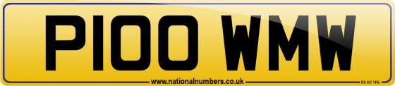P100 WMW