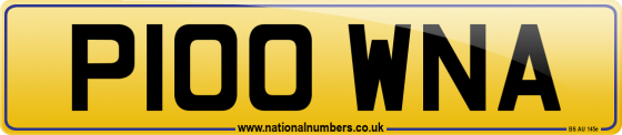 P100 WNA