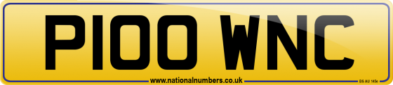 P100 WNC