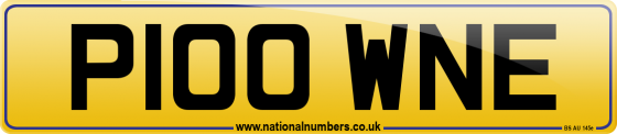 P100 WNE