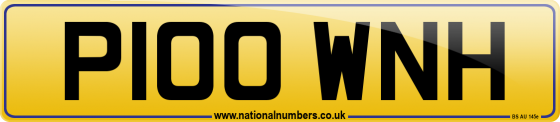 P100 WNH