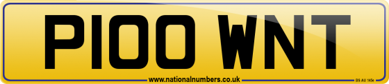 P100 WNT