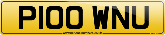 P100 WNU