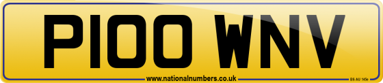 P100 WNV