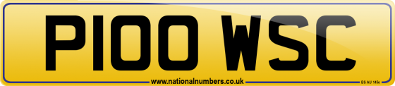 P100 WSC