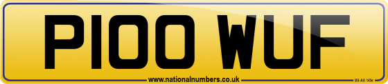 P100 WUF
