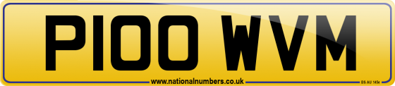 P100 WVM