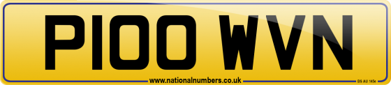 P100 WVN