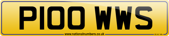 P100 WWS