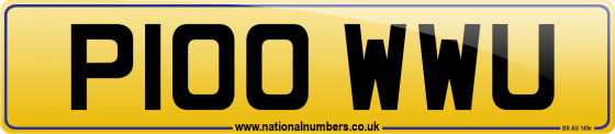 P100 WWU