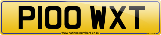 P100 WXT