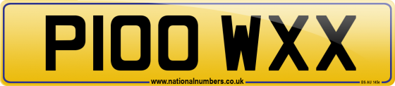 P100 WXX