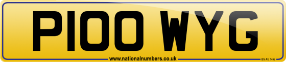 P100 WYG