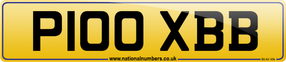 P100 XBB