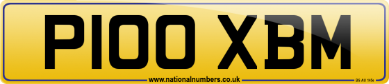 P100 XBM
