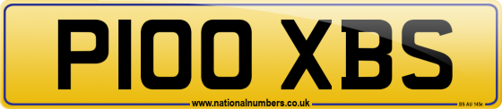 P100 XBS