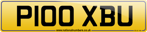 P100 XBU