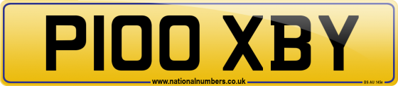 P100 XBY