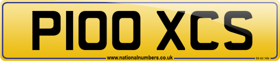 P100 XCS