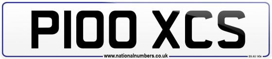 P100 XCS