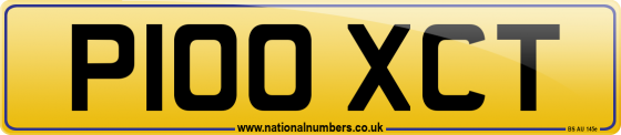 P100 XCT