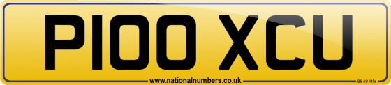 P100 XCU