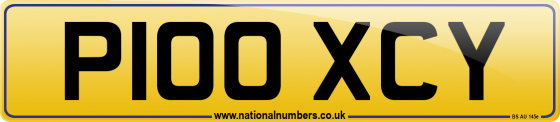 P100 XCY