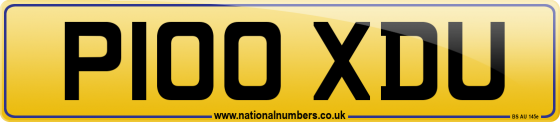 P100 XDU