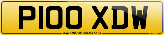 P100 XDW
